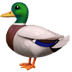:duck: :duck: