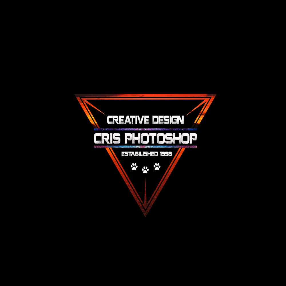 Beginner Logo Designer Graphic Design Graphic Design Forum