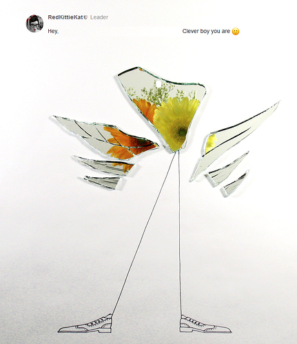 flowers_of_a_fractured_boy