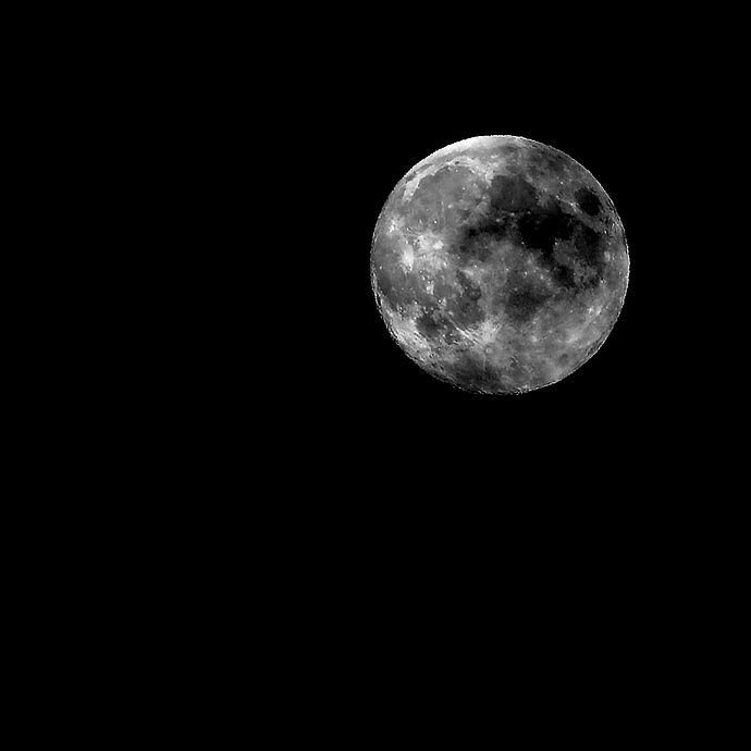 IMG_0879