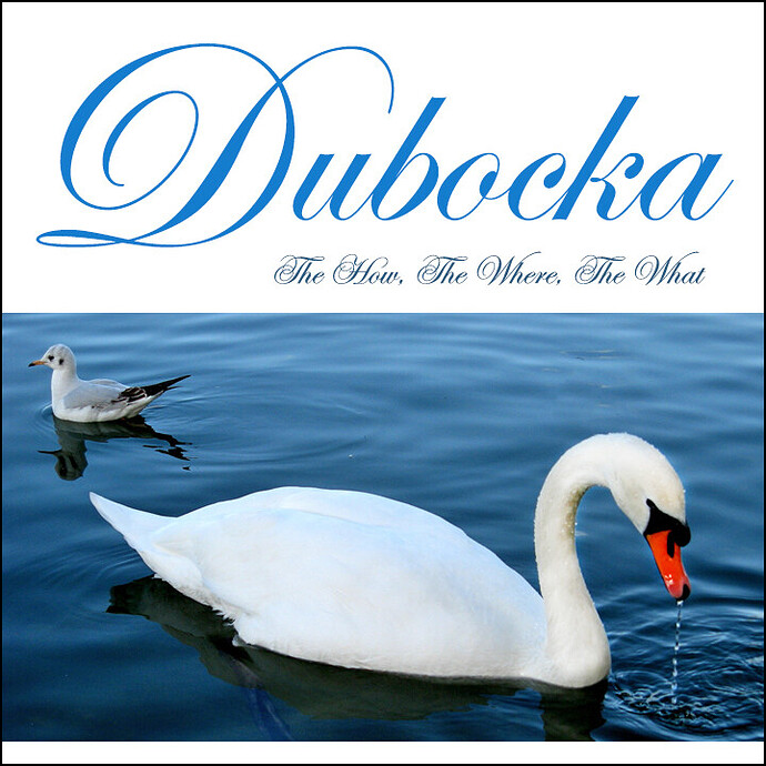 Dubocka