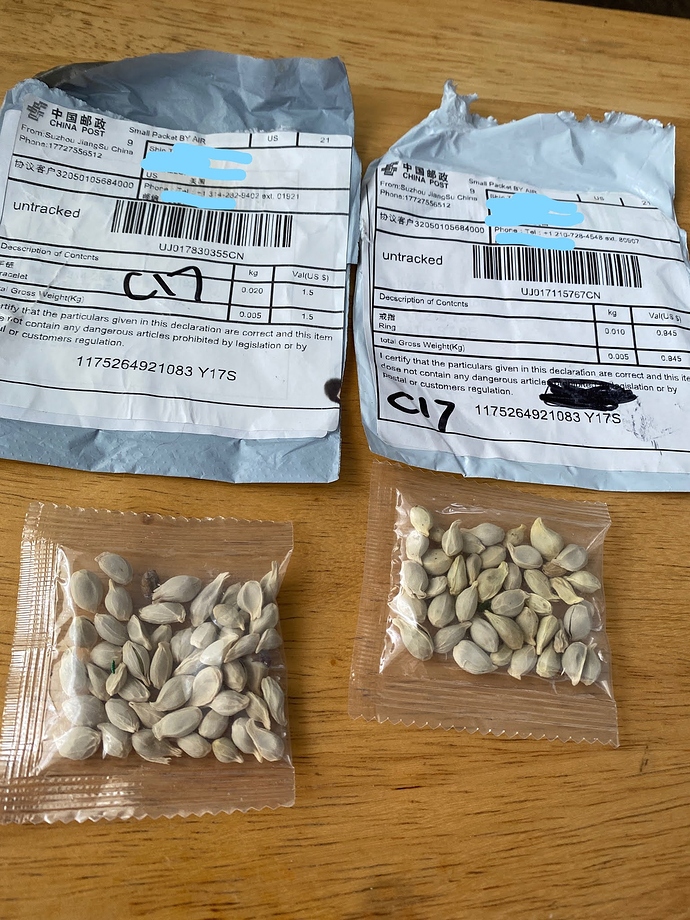 Seedsfromchina
