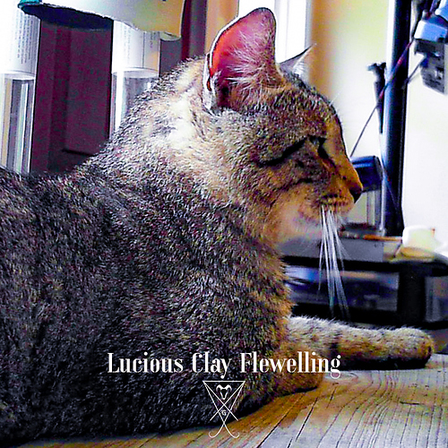 Lucious