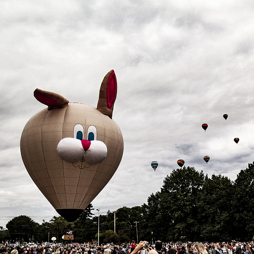 Bunny%20B