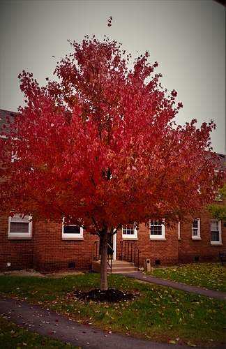 20181031_161925