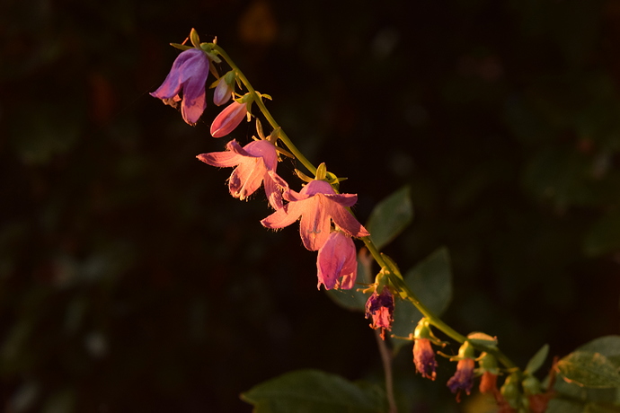 DSC_0195