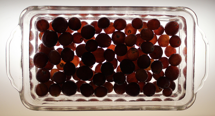 grapes_03