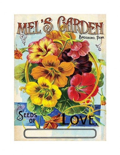 703-1441577300_MELSGARDEN_seedpacket