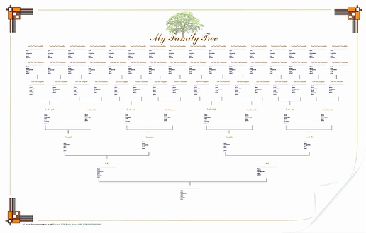 family-tree-template-with-siblings-beautiful-family-tree-with-cousins-template-of-family-tree-template-with-siblings