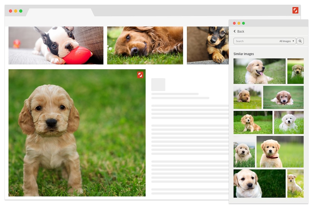 Shutterstock поиск по картинке