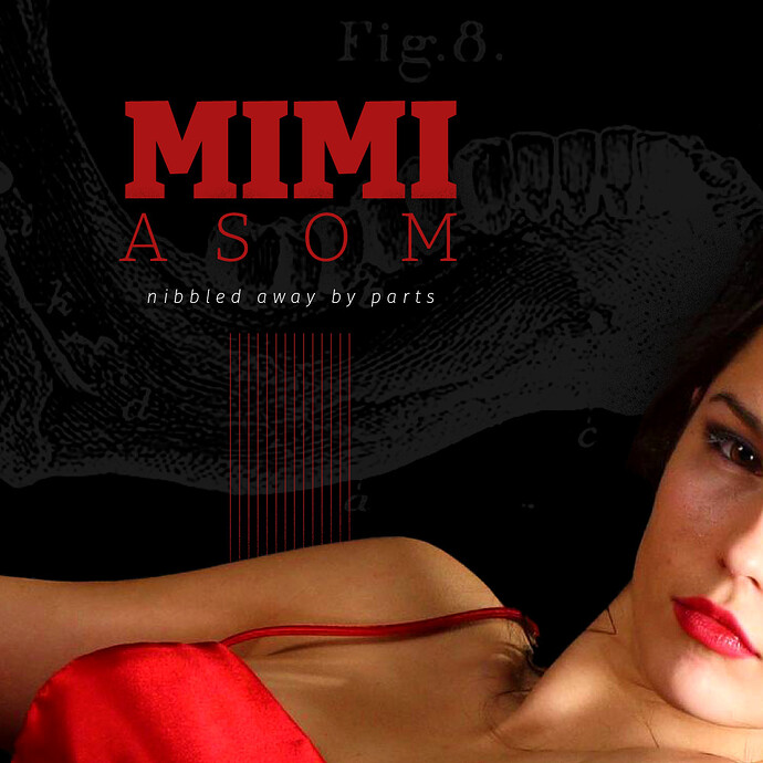 Fake Album_Mimi Asom