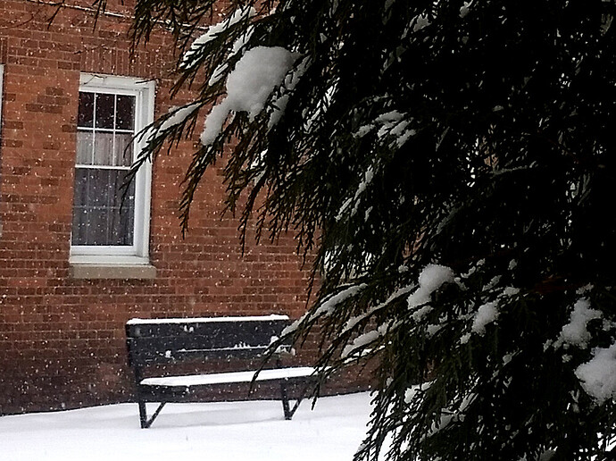 febsnow