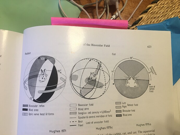 Sample Visual fields