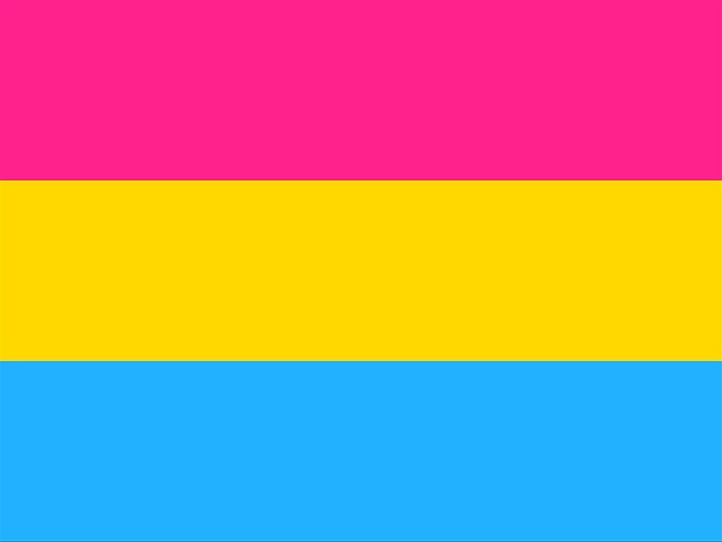 Pansexual-Flag-1499702418