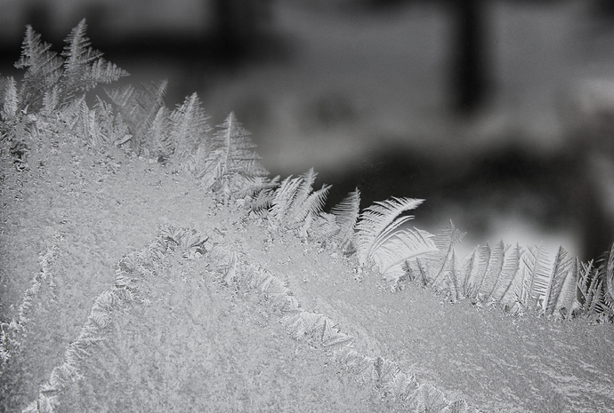 hills_of_freeze