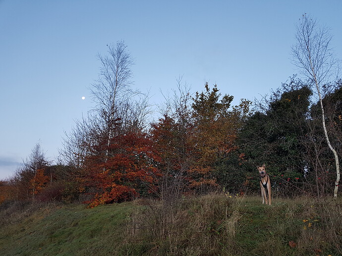 20201103_072729