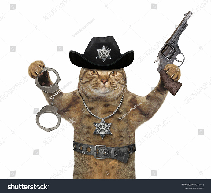 stock-photo-the-beige-cat-policeman-is-wearing-in-a-black-cowboy-hat-a-police-badge-around-his-neck-and-a-1647289462