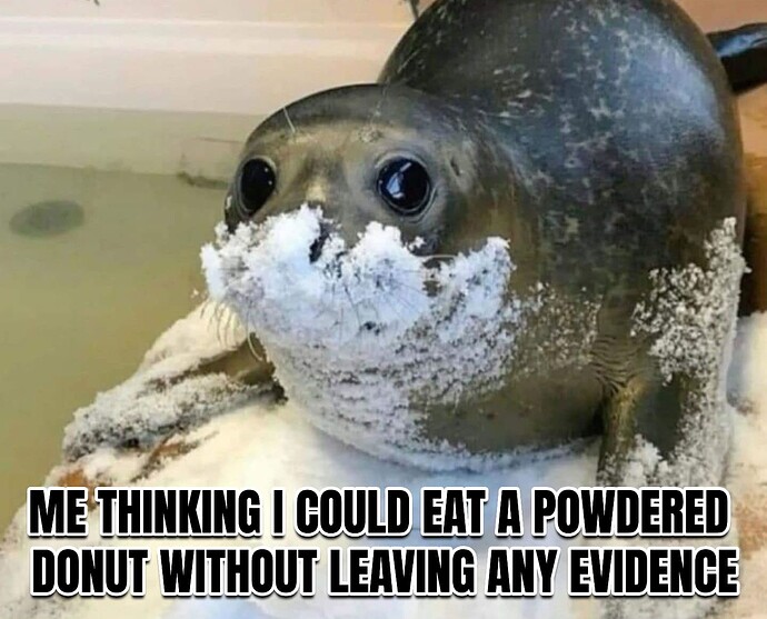 donut