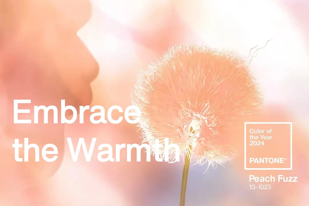 Pantone's Color of the Year for 2024 Is - News - Graphic Design Forum