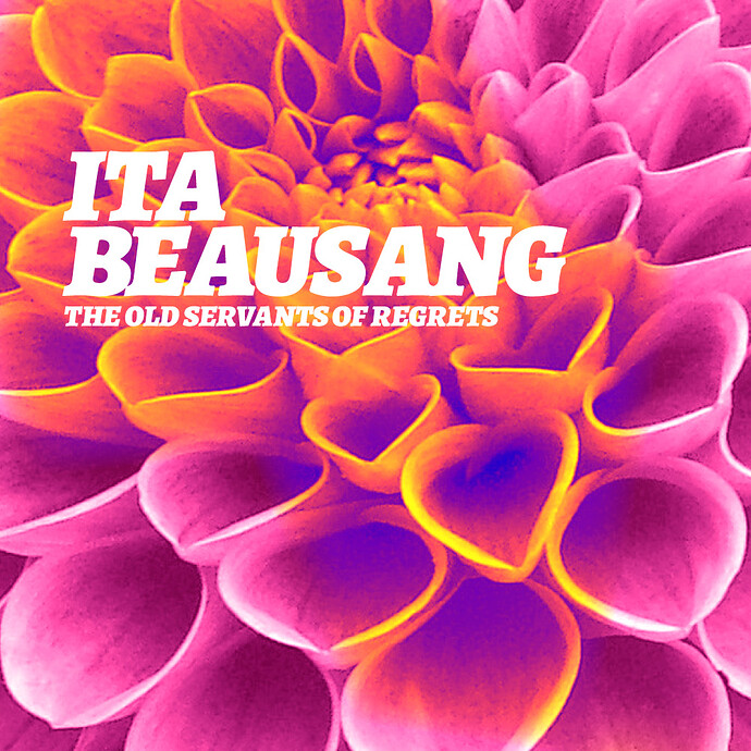 Fake Album_Ita Beausang