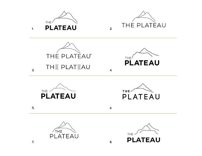The Plateau Logo concepts