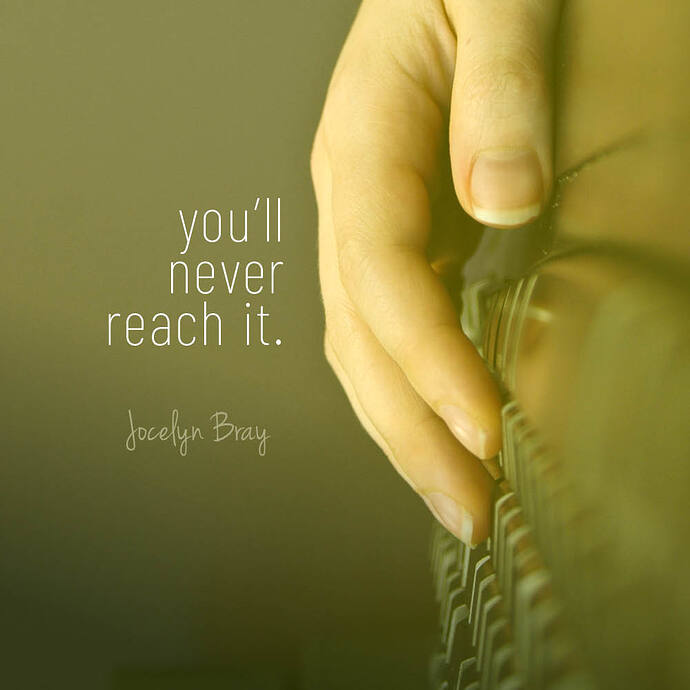 Fake Album_Jocelyn Bray