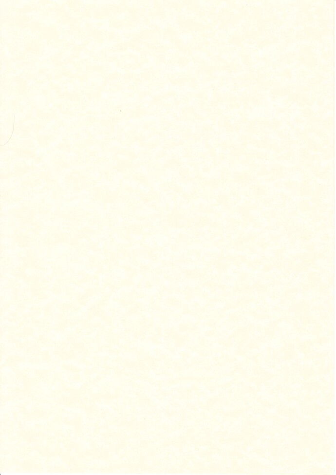 Parchment_0002