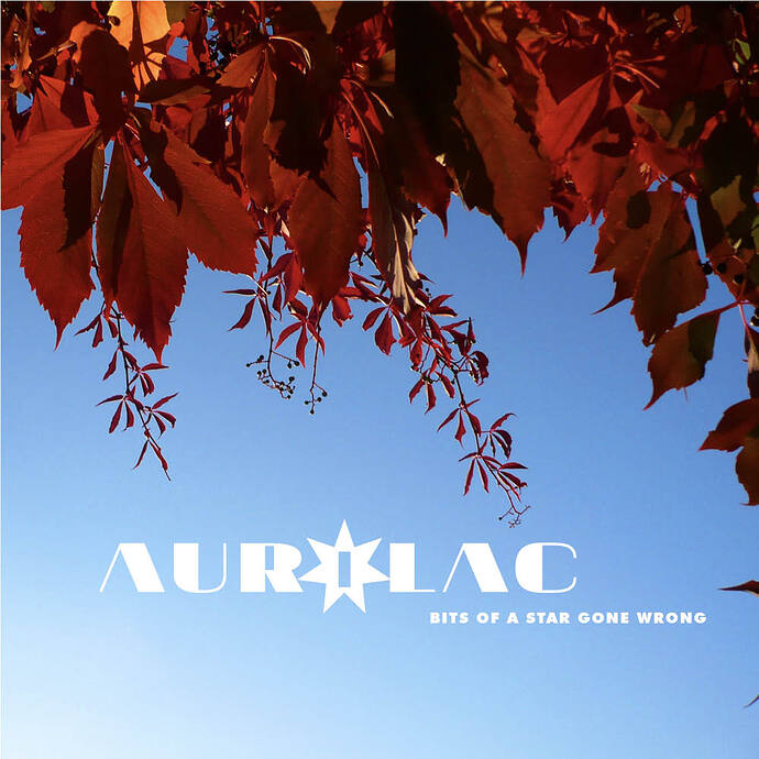 Fake Album_Aurolac