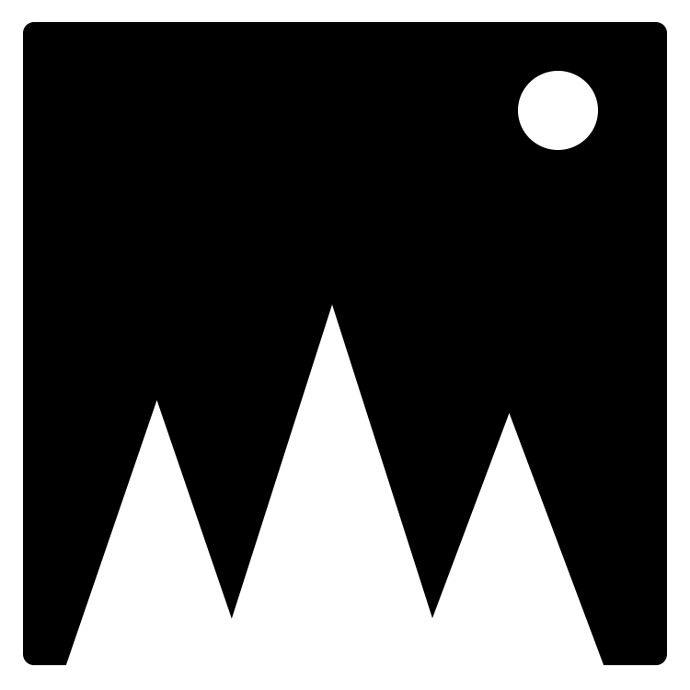 Prototype4MountainLightLogo