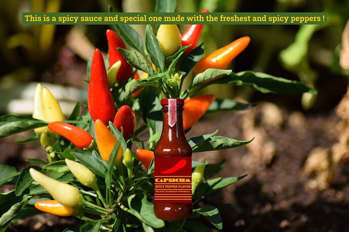 capsicumsauceadvert2