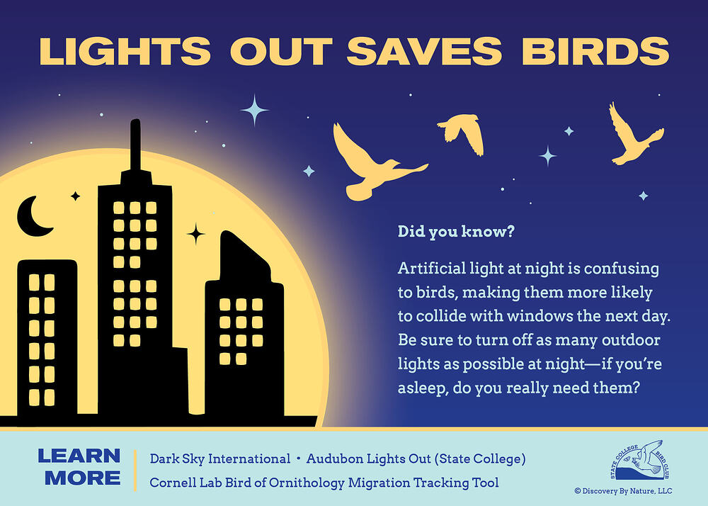 Lights Out
