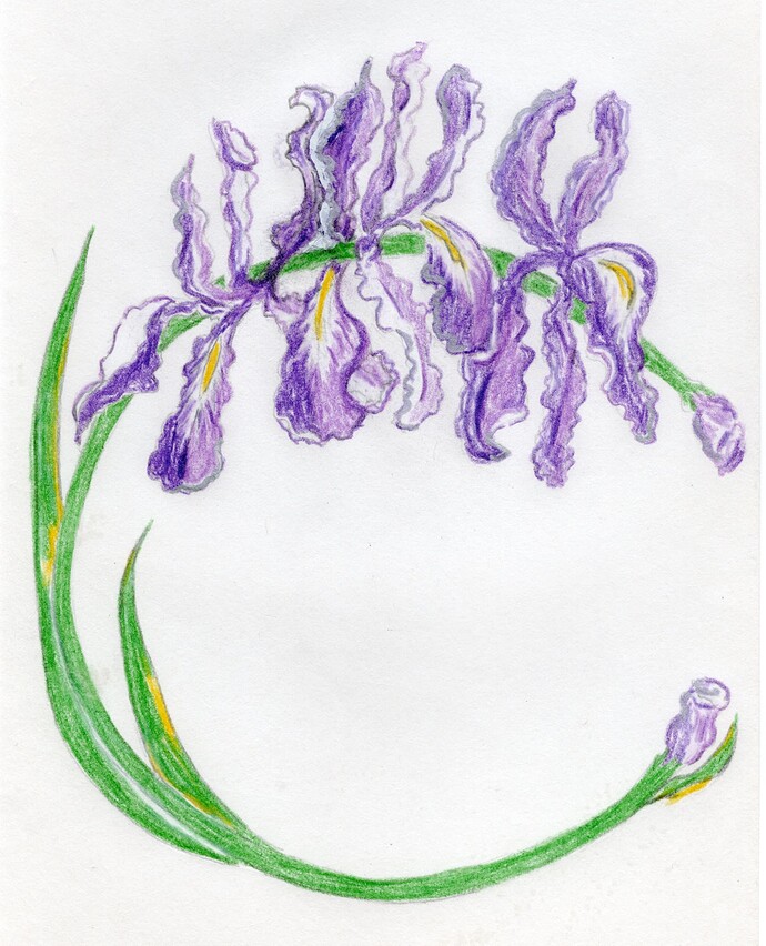 Iris Scan