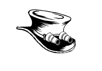 Binoculars-post