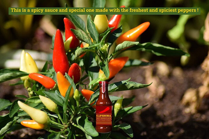 capsicumsauceadvert3