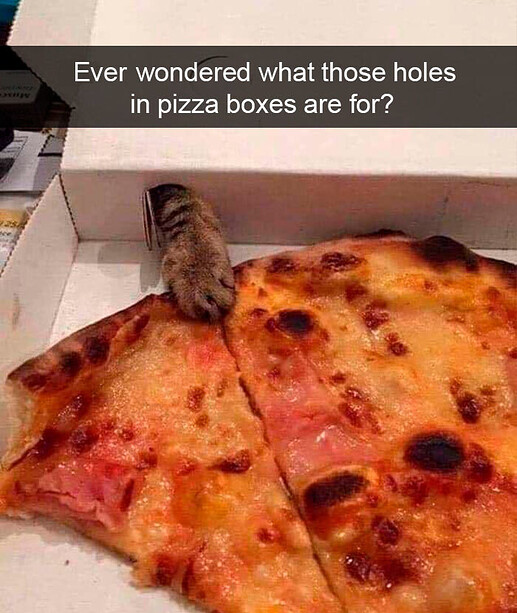 catpizza