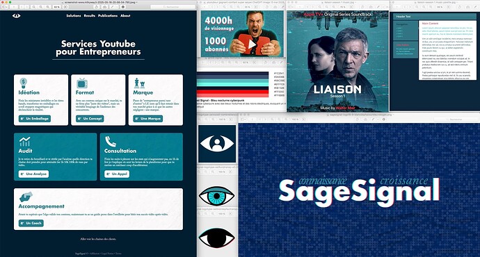 sagesignal-branding-overview