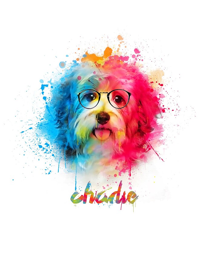 color dog