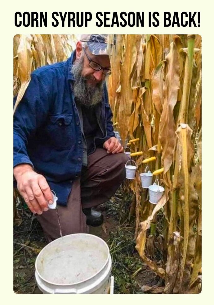Corn syrup season