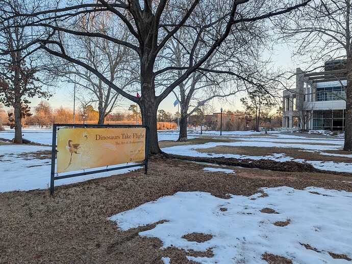 PXL_20260130_140942350