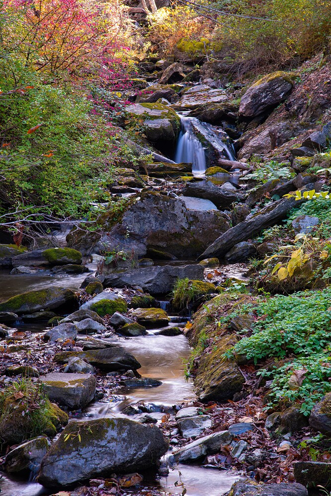 c62d116e-1104-40f9-831d-94739518873f_rw_1920