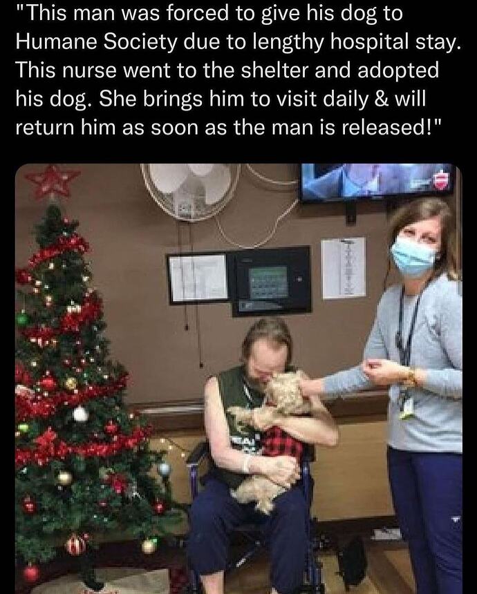 nurseadoptsdog