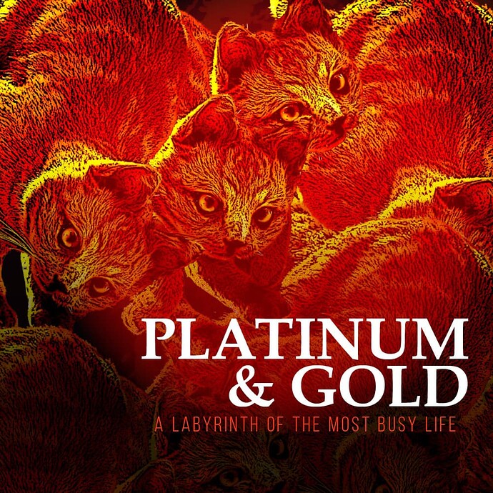 Platinum & Gold_ALBUM