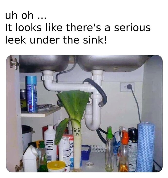 leek