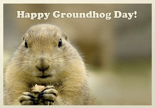 31355ground_hog_day