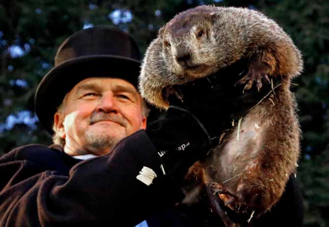 groundhog