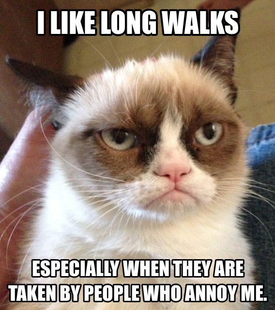 grumpy-cat-long-walks