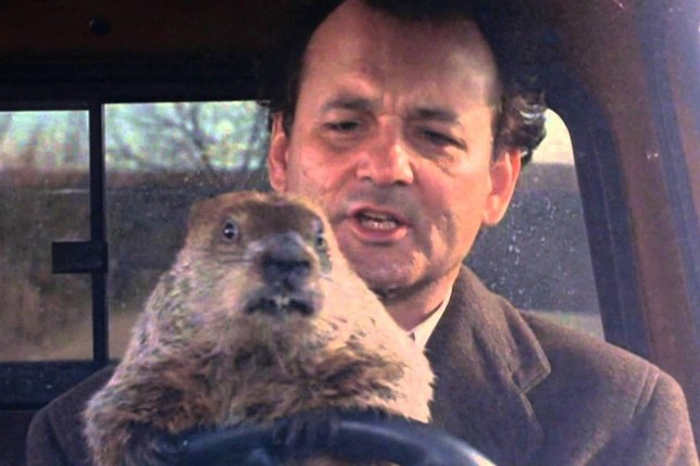 groundhog-day