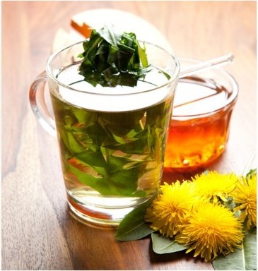 dandelion-tea-2%20(2)