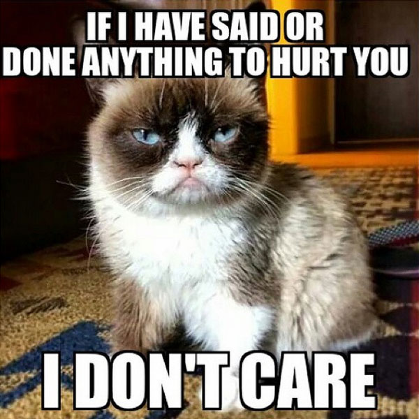 grumpy-cat-meme-171