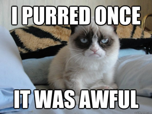 best-funniest-grumpy-cat-5